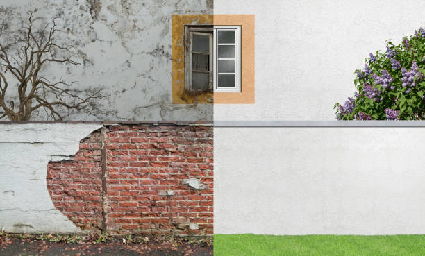 Best Black Mold Removal  in University Park, TX