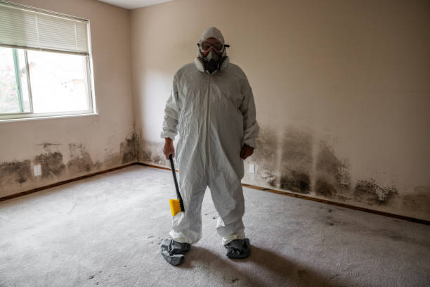 Best Airborne Mold Testing  in University Park, TX