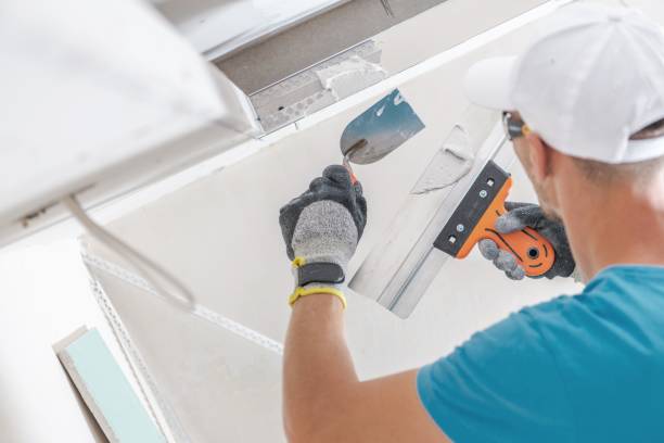 Best Attic Mold Removal  in University Park, TX